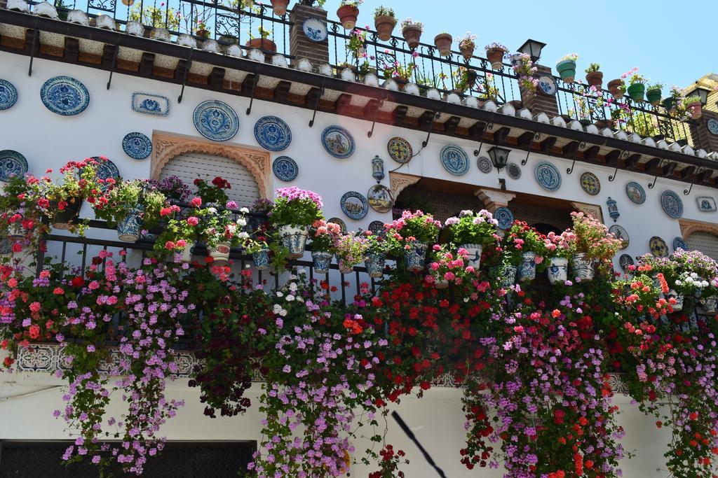 Carmen De Ramilla, Encantadora Guesthouse Con Piscina Soleada Гранада Екстер'єр фото