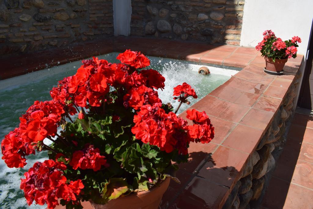 Carmen De Ramilla, Encantadora Guesthouse Con Piscina Soleada Гранада Екстер'єр фото