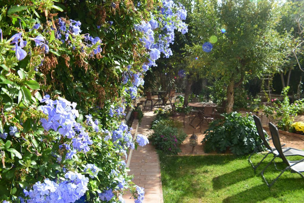 Carmen De Ramilla, Encantadora Guesthouse Con Piscina Soleada Гранада Екстер'єр фото
